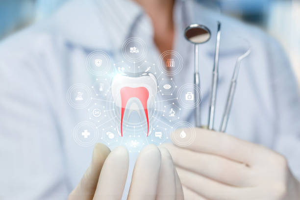 Best Wisdom Tooth Removal  in Combee Settlement, FL