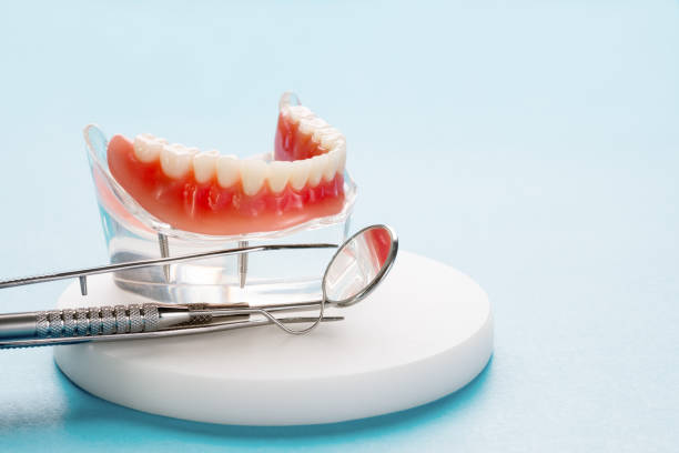 Professional  Holistic Dental Services in Combee Settlement, FL